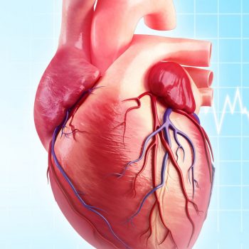 Heart virtualdr 350x350 - نمی‌توان «چاق» بود و «قلب سالم» هم داشت